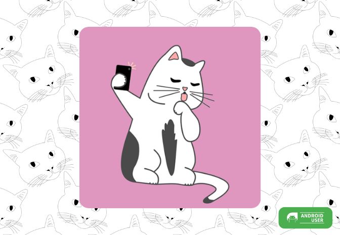 Kittyknips Beitragsbild