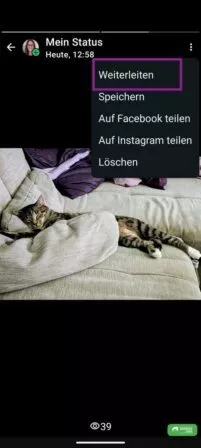 Status in WhatsApp erneut weiterleiten