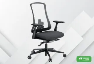 ProtoArc Flexer Pro -Ergonomischer Bürostuhl mit 2-teiliger Lendenwirbelstütze im Test
